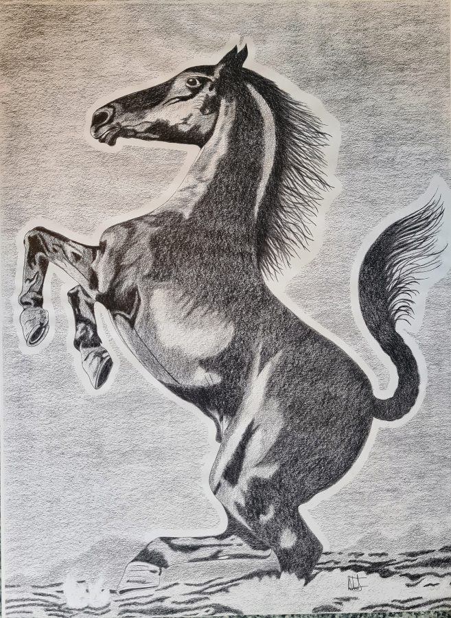 dibujos-caballo-encabritado