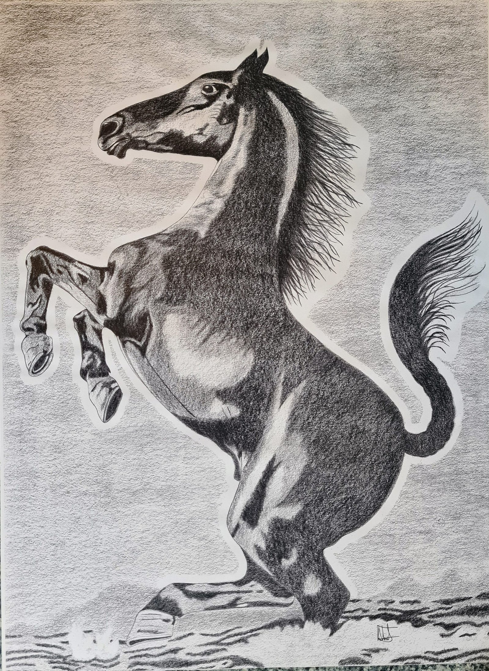 Rearing Horse