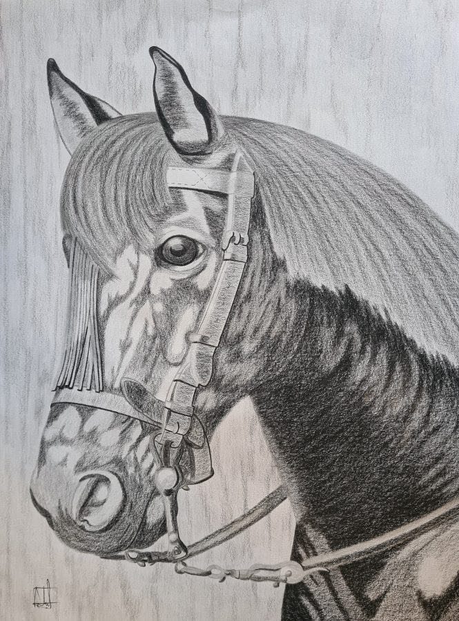 dibujos-caballo-cabeza