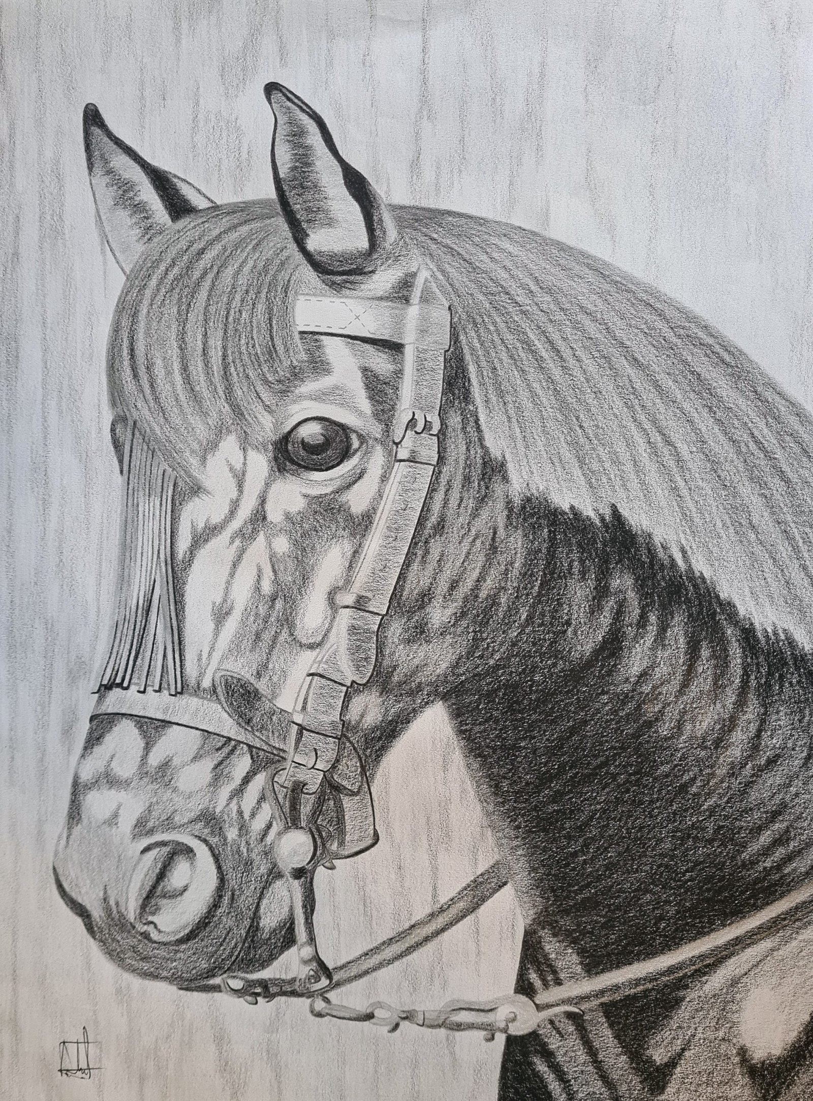 Horse’s Head