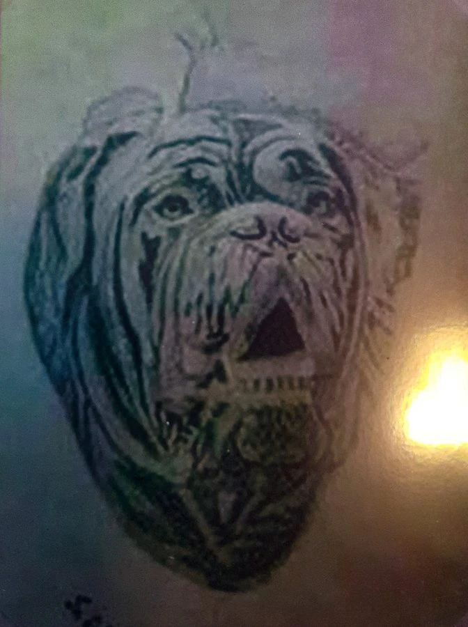 dibujos-perro